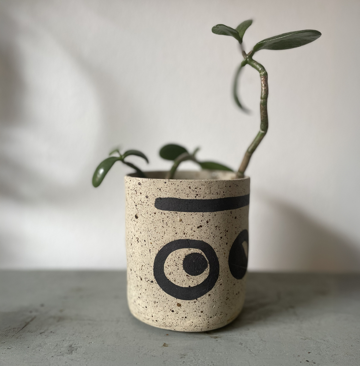 Keramik-Blumentopf aus Steingut mit grafischer Bemalung und Zimmerpflanze, handgefertigt im Atelier Tonga – kreative Keramik und Töpferkunst aus München.