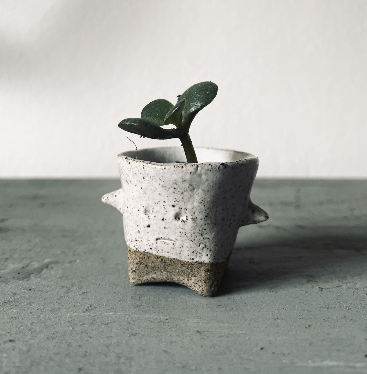 Origineller Keramik-Blumentopf mit Gesicht und Sukkulente, handgefertigt im Atelier Tonga – individuelle Keramik und Töpferkunst aus München.
